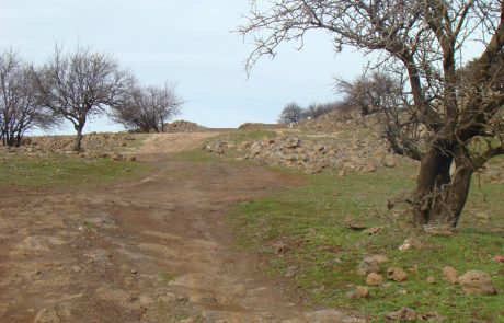 מהר אודם אל יער אודם: מתל געשי אדום אל יער מסתורי בצפון הגולן