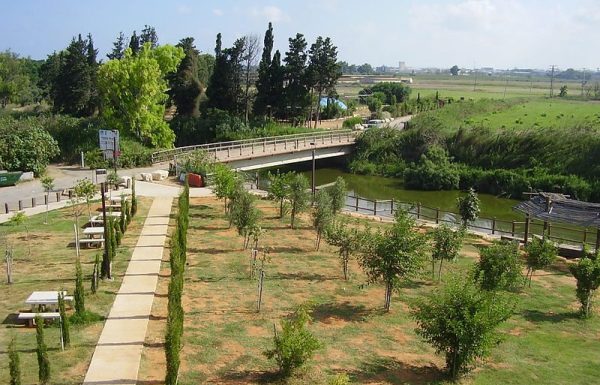 גשר הצבים נחל אלכסנדר: טיול מים במרכז עמק חפר