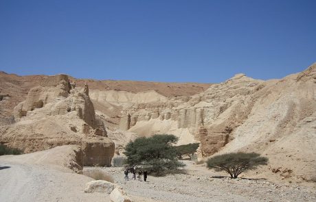 הנחלים זוהר – יזרח – רום: טיול אתגרי למייטיבי לכת במדבר יהודה – שביל ישראל מקטע 34