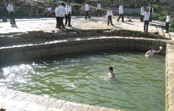 ליפתא (ליפתה) בכניסה לירושלים: טיול פסטורלי ליום כיף קסום בטבע בלב העיר