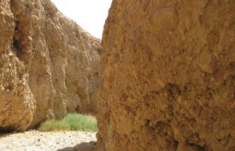 נחל סלוודורה: קניון קצר, יבש ומעט אתגרי במדבר יהודה