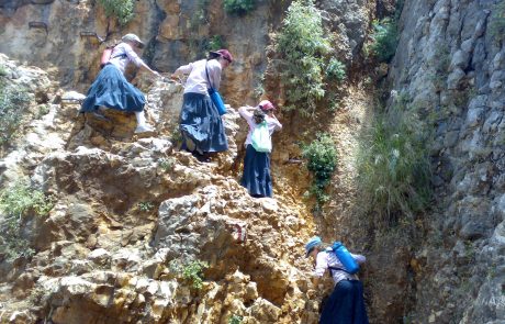 טיול בית ספר חרדי לבנות חב"ד תפארת חיה אל הארבל, המגרסה ושייט בכינרת, יוני 2019