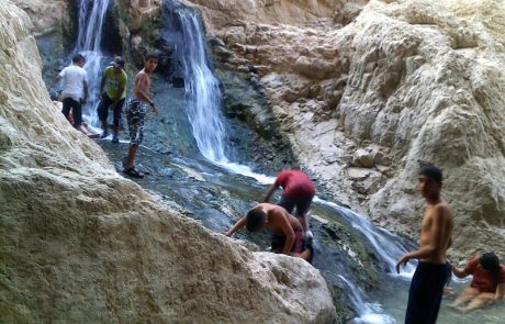 עין בוקק במדבר יהודה: מסלול מים למשפחות עם ילדים, ברכות, מעיינות ומפלים