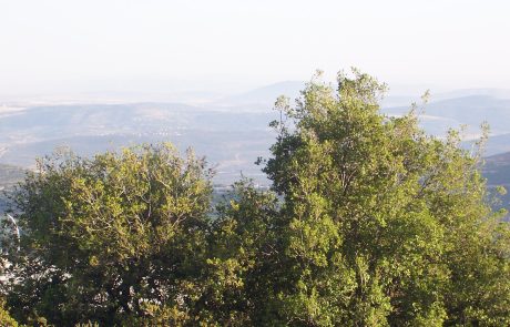 מערת פער: טיול בצפון למערה קארסטית קסומה בגליל העליון