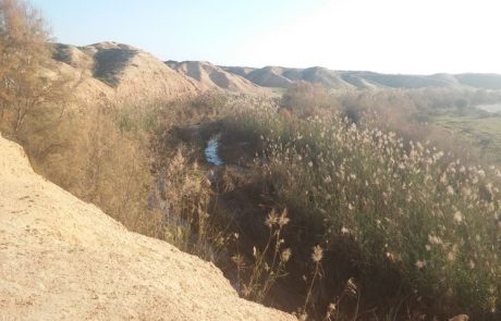 דרך נוף נחל הבשור: טיול רכוב ובאופניים בנגב המערבי