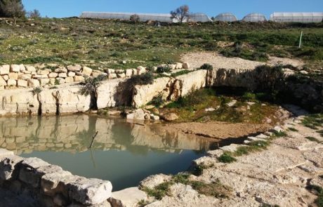 טיול בגוש עציון לעין מסלע עין כלב (עין אבו-כלאב) בהרי יהודה