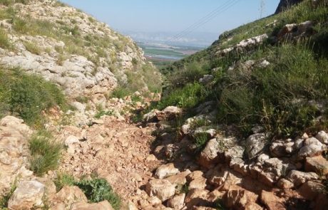 נחל יצפור בגלבוע: מסלול אתגרי לא קשה בצפון