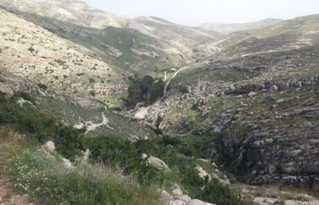 עין פרת (ואדי קלט): טיול מים ומעיינות יפים בצפון מדבר יהודה