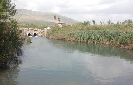 נחל קיבוצים: מסלול מים מושלם לכל המשפחה בצפון בעמק המעיינות