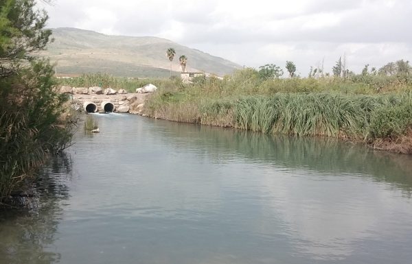 נחל קיבוצים: מסלול מים מושלם לכל המשפחה בצפון בעמק המעיינות