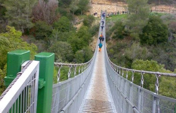 טיול בפארק נשר – נחל קטיע בכרמל