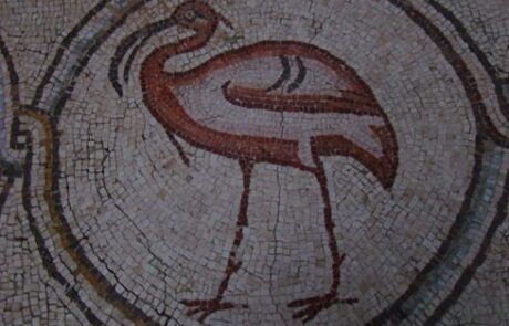 טיול אל ארמון פסיפס הציפורים בקיסריה: אמנות וגן חיות ביזנטי