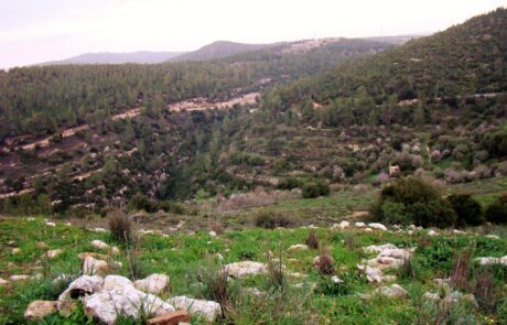 נחל קטלב: טיול קצר ויפיפה בהרי ירושלים למייטיבי לכת ברמה בינונית