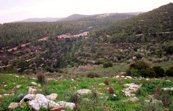 טיול בשביל שוסטר: מסלול מעגלי קצר בנחלים שורק וקטלב