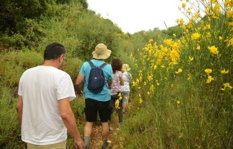 טיול ביודפת העתיקה ויום כיף לעובדי חברת "נצר חיישני תנועה מדויקים" ממשגב, מאי 2023