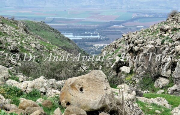 נחל עורבים: מסלול אתגרי בצפון הגולן – מייטיבי לכת, מפל בחורף