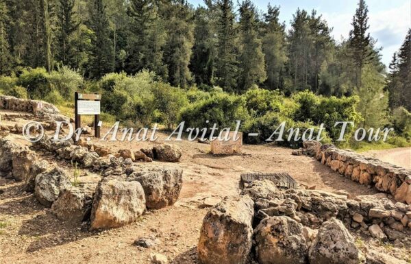 שביל הבורות והבארות בתל עזקה בשפלת יהודה: טיול מדהים ביער אורנים, פריחה ותצפיות