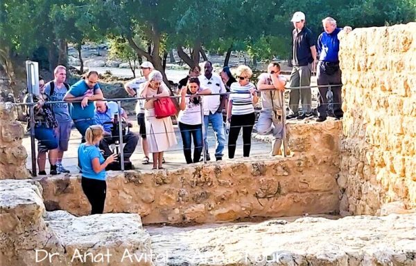 מחורבת חנות לעין מטע ועין תנור: שביל ישראל אל מעיינות יפים ופריחה בהרי יהודה