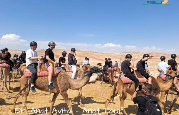 טיול שנתי מושלם יומיים לתיכון VIP עמל פסגות אופקים: רכיבת גמלים, מצדה, עין גדי | מרץ 2025
