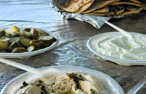 טיול שנתי לתלמידים ותלמידות חרדיים משדרות, אקווריום ישראל ואפיית פיתות בעין לבן, יוני 2026