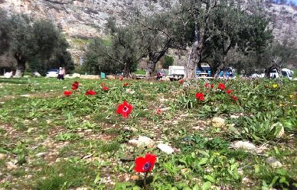 רכס אצבע: טיול מייטיבי לכת מעגלי בכרמל מול נופי חוף הכרמל