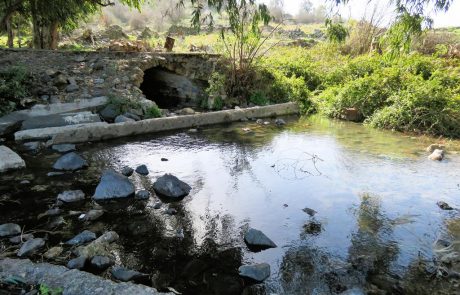 עין פית בצפון הגולן למרגלות החרמון: טיול למעיין יפה עם מים טובים צופה אל בקעת החולה
