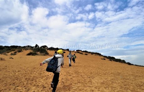 טיול בית ספר חרדי שובו נתניה בנים: חולות פולג-וינגייט ואפיית פיתות בפארק השלולית, נובמבר 2018