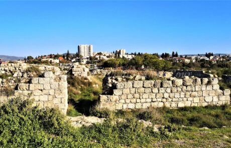 תל בית שמש: טיול קצר במרכז בשפלת יהודה, פריחת כלניות אדומות בחורף