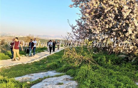 גבעת התיתורה במודיעין: טיול קצר במרכז לכל המשפחה, עם פריחה ותצפיות