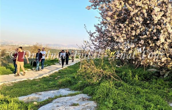 גבעת התיתורה במודיעין: טיול קצר במרכז לכל המשפחה, עם פריחה ותצפיות