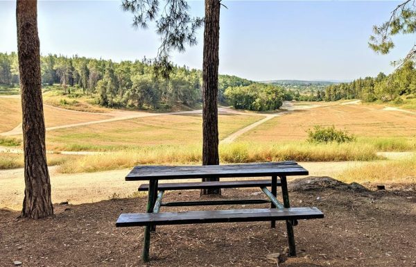 יער בן שמן ומודיעין: מסלולי טיולים, חניונים, אתרים נחלים וצמחייה