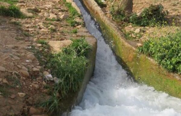 דרום בקעת הירדן:  3 טיולי מים וכיף שאתם מוכרחים לעשות