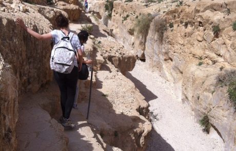 משאש-מורבעת: טיול מיטיבי לכת מומלץ בקניון במדבר יהודה