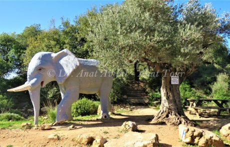 גבעת היקבים: חצי שעה ממודיעין ואתם באתר מדהים שלא היכרתם