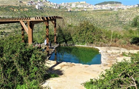 עיינות ענר: טיול מים קצר לכל המשפחה, שרשרת מעיינות יפים בגוש טלמונים