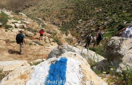 ואדי עוג'ה  – נחל ייט"ב: טיול מיטיבי לכת במדבר השומרון