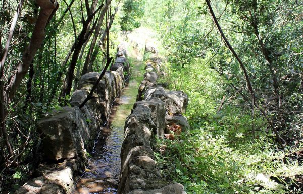 שמורת נחל עמוד: מסלול מעגלי מהכניסה לשמורה אל בריכות שכווי ובחזרה