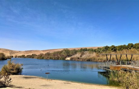 אגם ירוחם: פארק אטרקציות, חניון ואתר טיולים אל פריחת אירוס ירוחם וחלמוניות