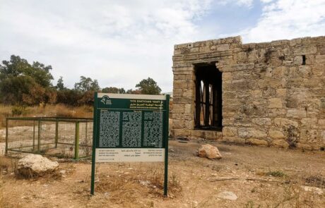 מאוזולאום מזור ליד העיר אלעד, ארכאולוגיה ופריחה על שביל ישראל מקטע 20