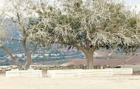 תל עזקה: תצפית אל עמק האלה – כאן התחיל דוד המלך את מלכותו