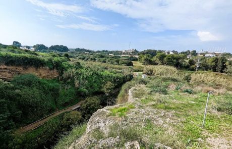 שמורת שער פולג ושמורת נחל פולג במרכז השרון: שביל ישראל מקטע 15- אגם חורפי, פריחה, רכסי כורכר, דיונות חול, חוף ותצפיות