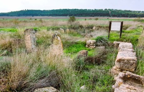 תל בטש המזוהה עם תמנה המקראית – וטיולים לאורך עמק נחל שורק ליד טל שחר