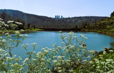 מאגר בית זית: אגם מי גשמים ומפל מים ענק על ערוץ נחל שורק, שבילי הליכה ואופניים – פארק ירושלים