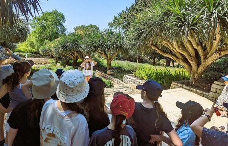 טיול שנתי לתלמידי ביה"ס המונטסורי נוף ילדות ממקווה ישראל: מי קדם פארק אלונה וגני רמת הנדיב בזיכרון יעקב, מאי 2023