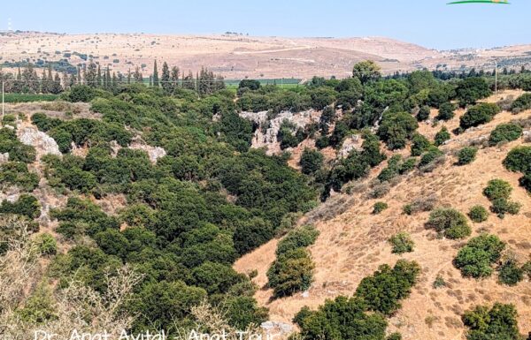 נחל קדש, שביל ישראל מקטע 3, שביל הפלמ"ח – מסלול אתגרי מדהים בגליל העליון