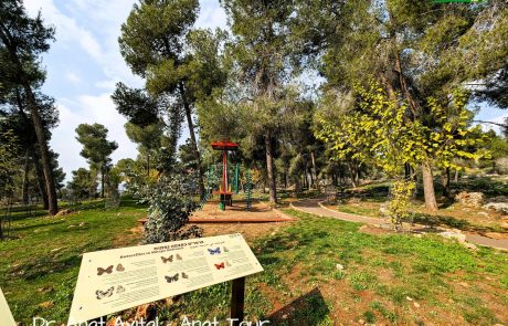 יער קהילתי רמות ירושלים – מצפה נפתוח: איריס הסרגל, פטריות, פארק התנ"ך, חניון עם מתקנים, נופים משגעים