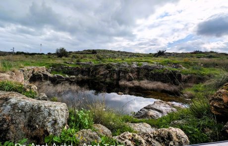 בריכת חורף ברקת – טיול מים קצרצר ומונגש לכל המשפחה עם הילדים בחורף על שביל ישראל מקטע 21