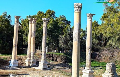 גן לאומי תל אשקלון – טיול על הים והרבה יותר ממה שחשבתם!