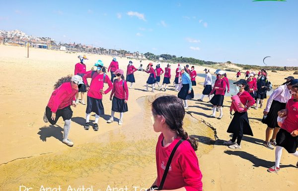 טיול שנתי לבנות חרדיות מתוקות, יסודי חב"ד לוד: שיט רשתות בהרצליה, חולות וינגייט ונחל פולג, פארק מתקנים נתניה, אפריל 2025
