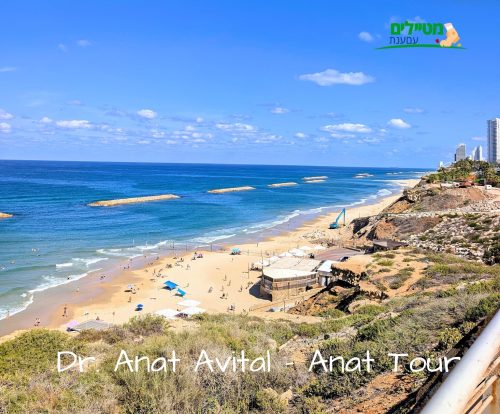 שביל ישראל וטיילת נתניה, צילום: ד"ר ענת אביטל שביל ישראל וטיילת נתניה לאורך מצוק הכורכר מול הים
